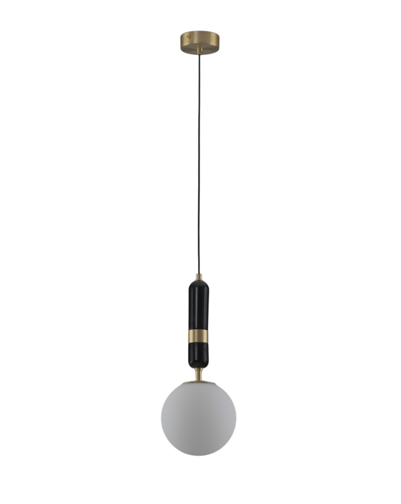 V11960-1P Moderli