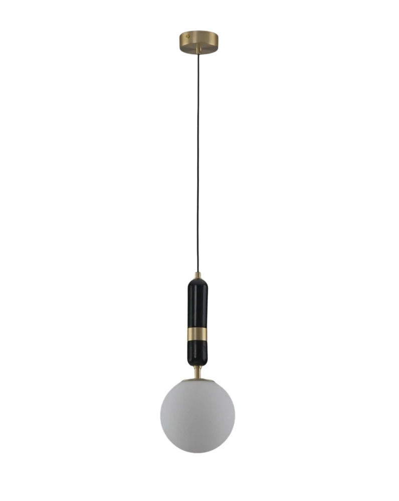 V11960-1P Moderli