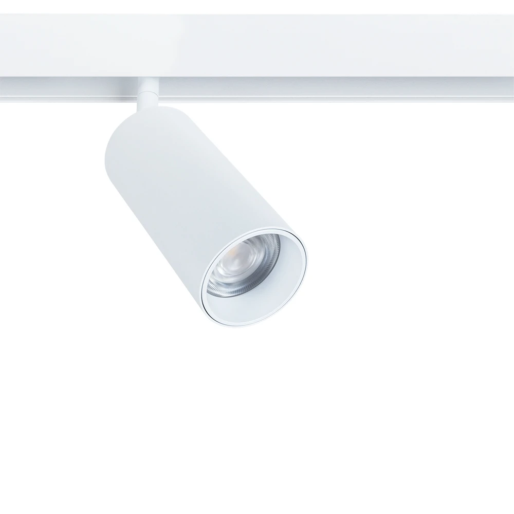 A4631PL-1WH Arte Lamp