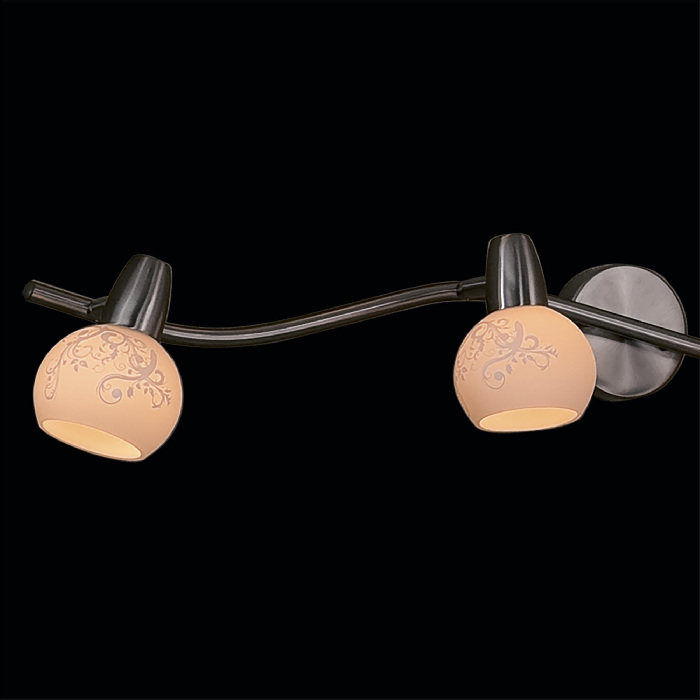CL520541 Citilux