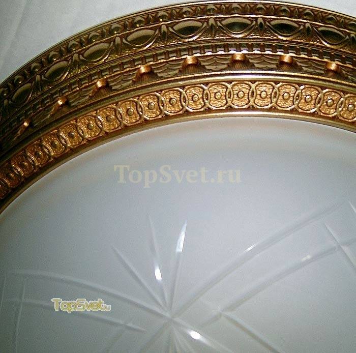 780/5PL FRENCH GOLD Nervilamp