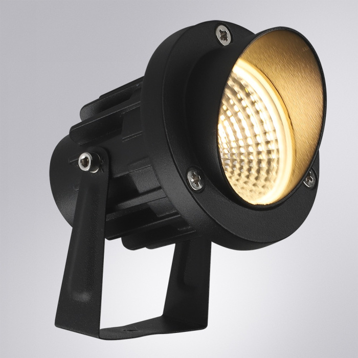 A1309IN-1BK Arte Lamp