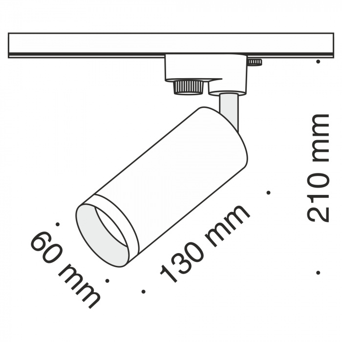 TR004-1-GU10-MG Maytoni
