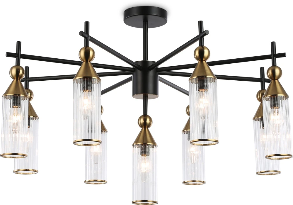 LH55258 Ambrella