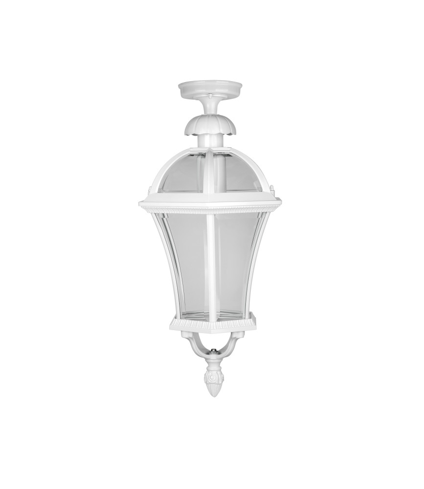 95205LA W Oasis Light