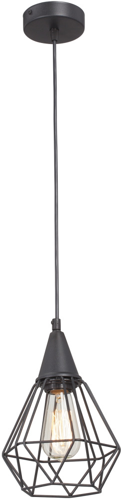 V4728-1/1S Vitaluce
