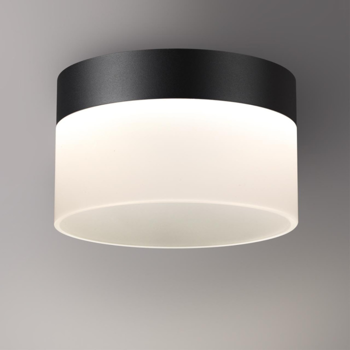359446 Novotech
