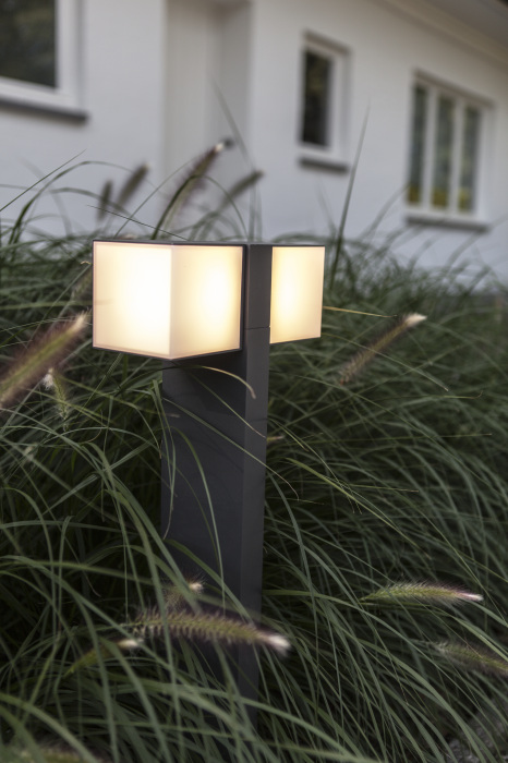 W1938-2-750 Gr Oasis Light