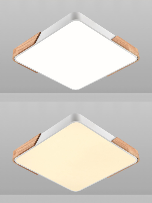 LED LAMPS 81411 Natali Kovaltseva