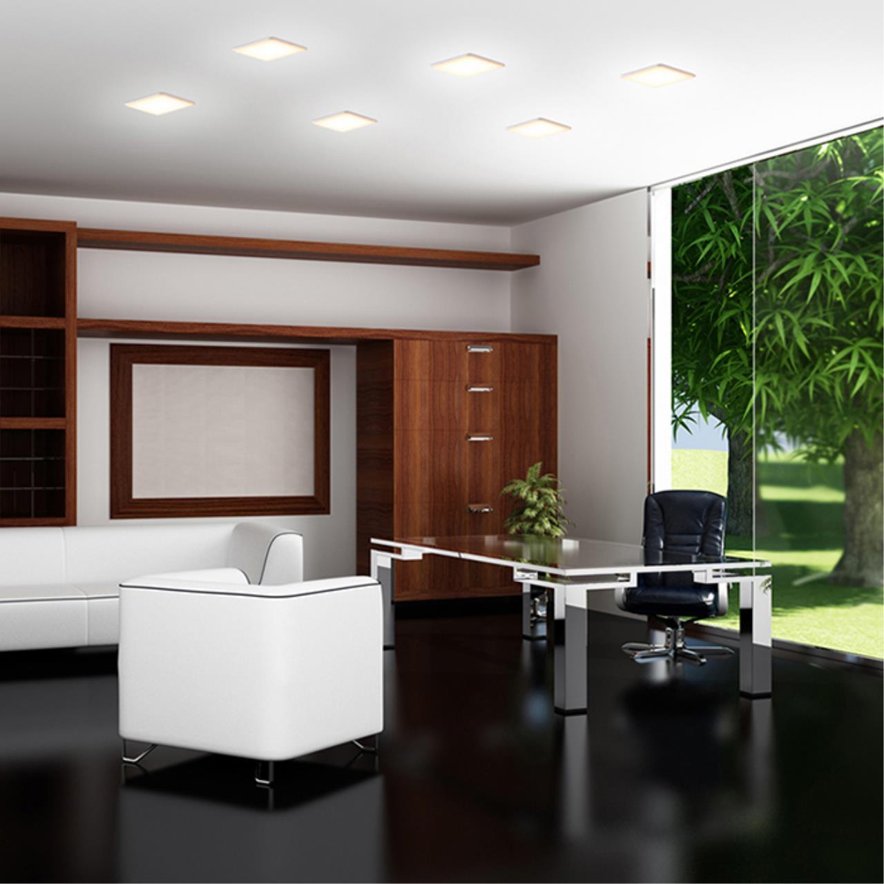 358147 Novotech