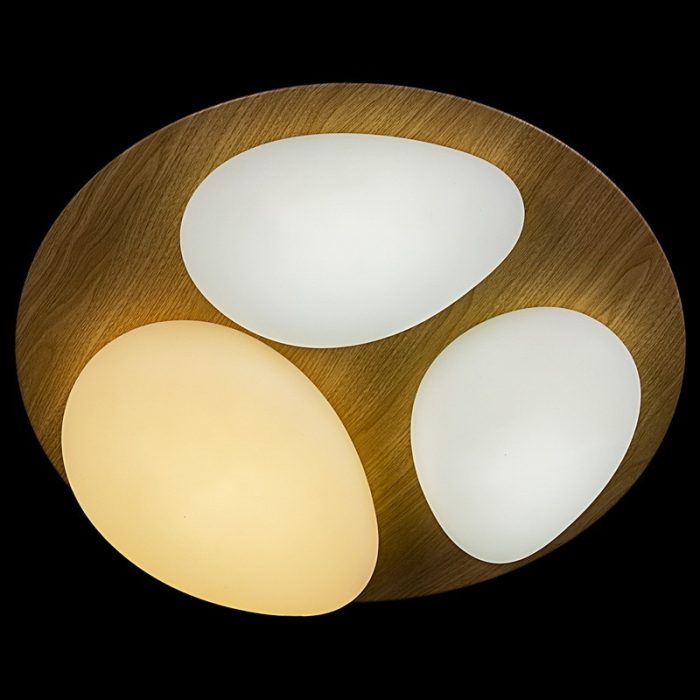 10009-0.3-60W AEROLITE Reluce