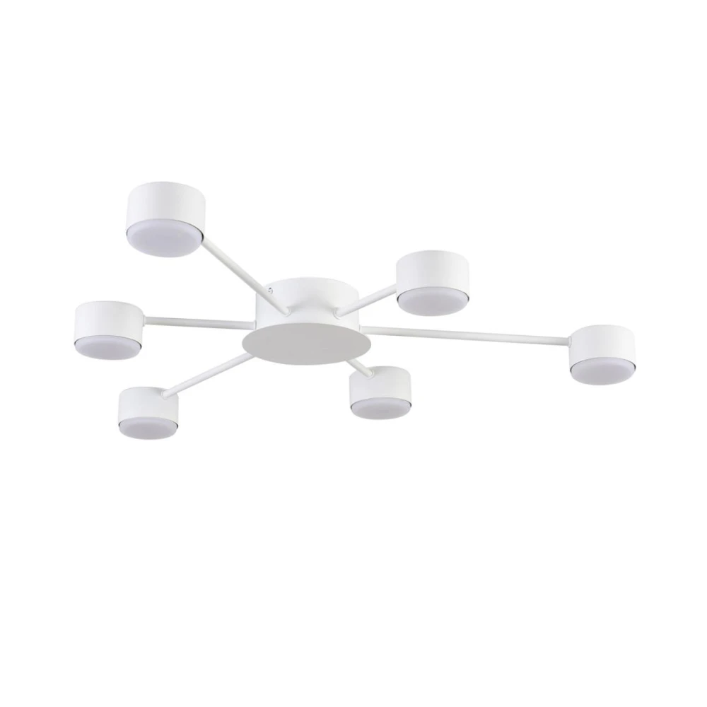 8343/6C Lumion