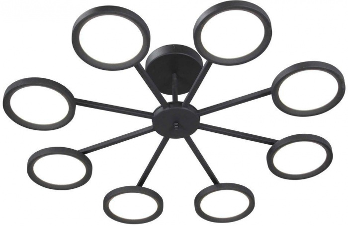 V4675-1/8PL Vitaluce