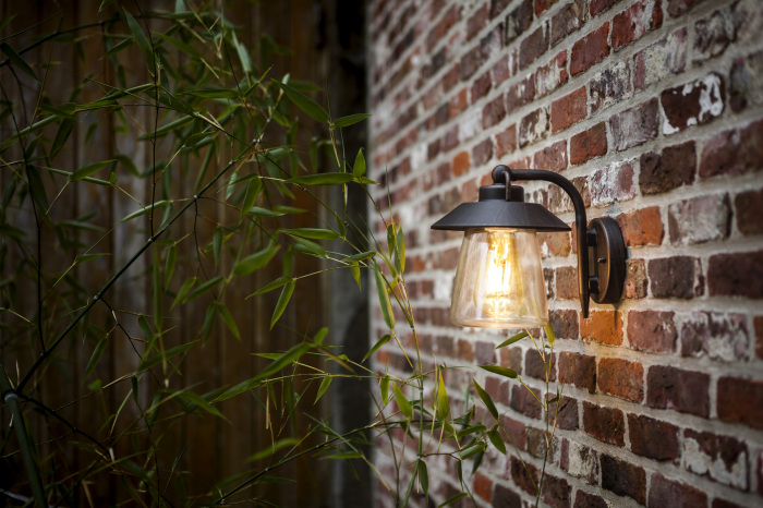2642 R Oasis Light
