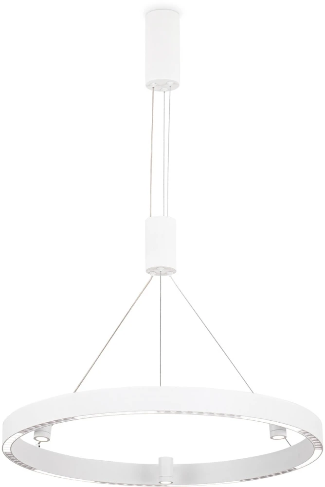 FL5844 Ambrella