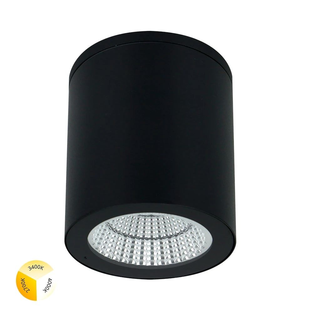 A1313PF-1BK Arte Lamp