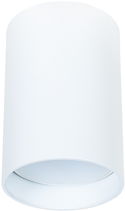 A1517PL-1WH Arte Lamp