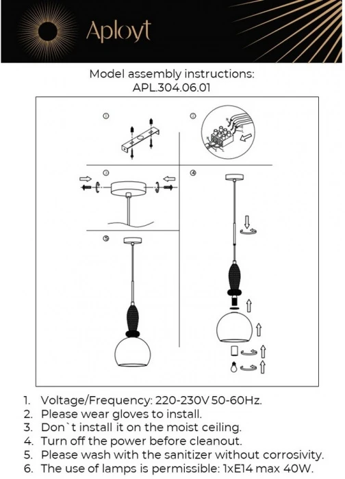 APL.304.06.01