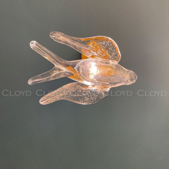20343 Cloyd