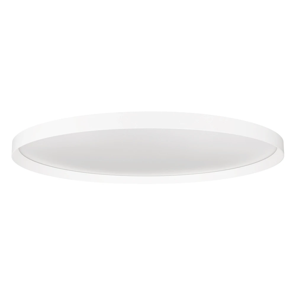 055588 Arlight