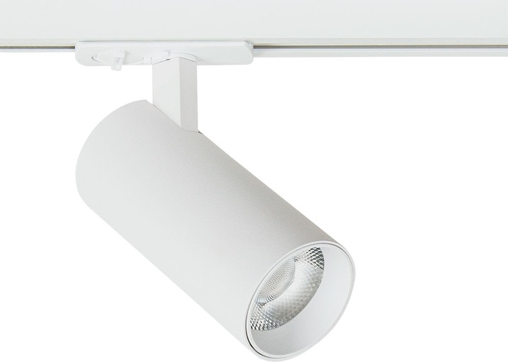 A1936PL-1WH Arte Lamp