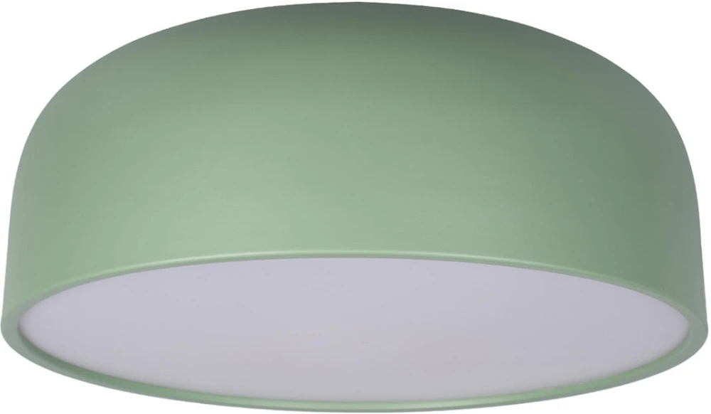 10201/480 Green Loft It