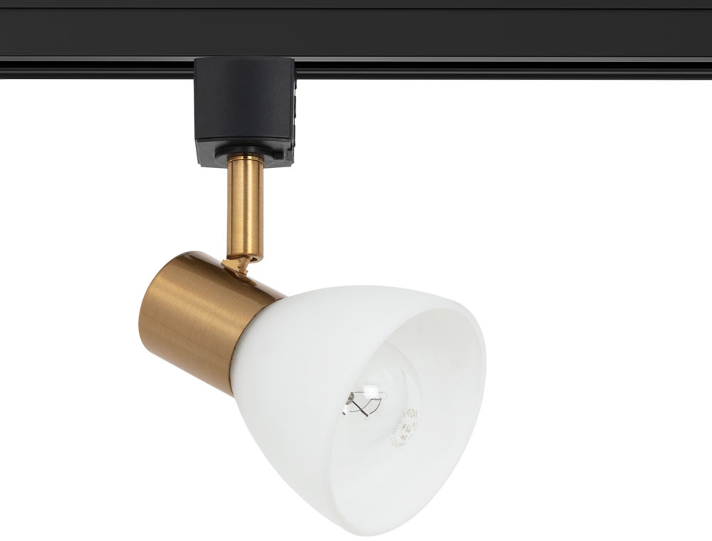 A3117PL-1BK Arte Lamp