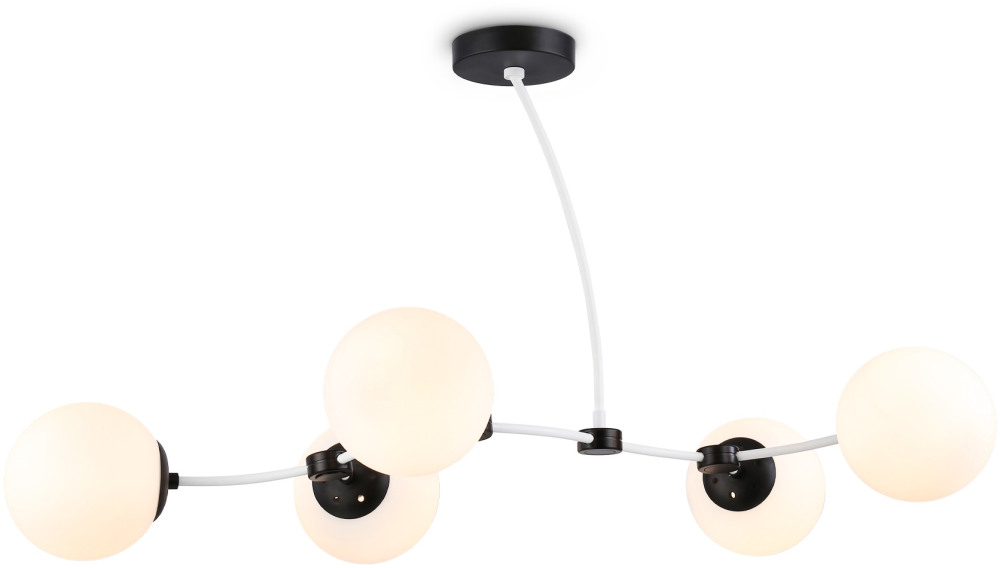 TR2546 Ambrella