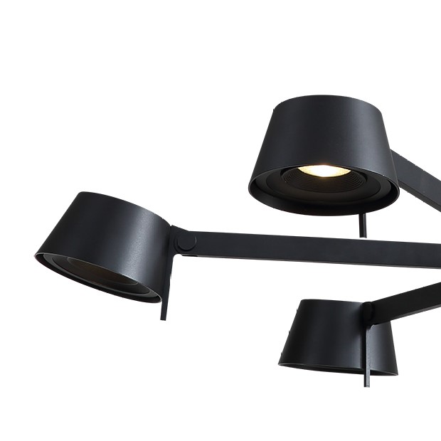 P0214-6A black Delight Collection