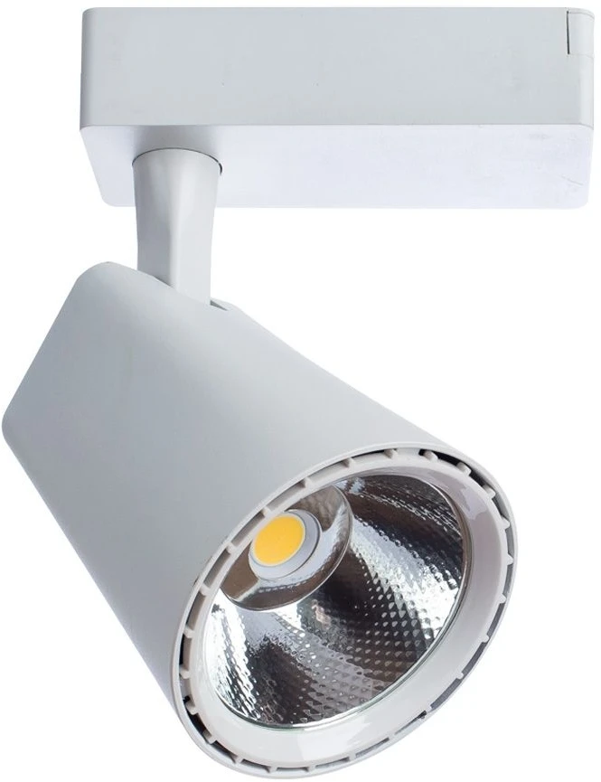 A1830PL-1WH Arte Lamp