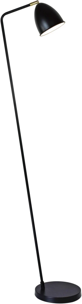 V11001-F Moderli