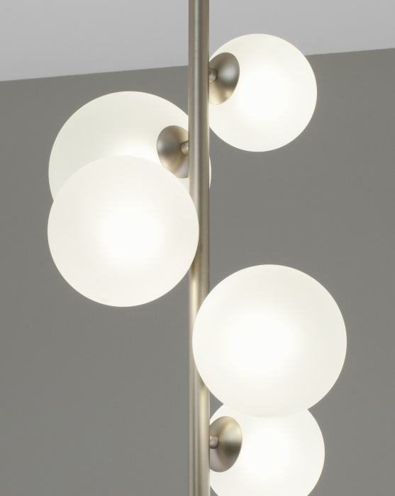 V11466-5P Moderli