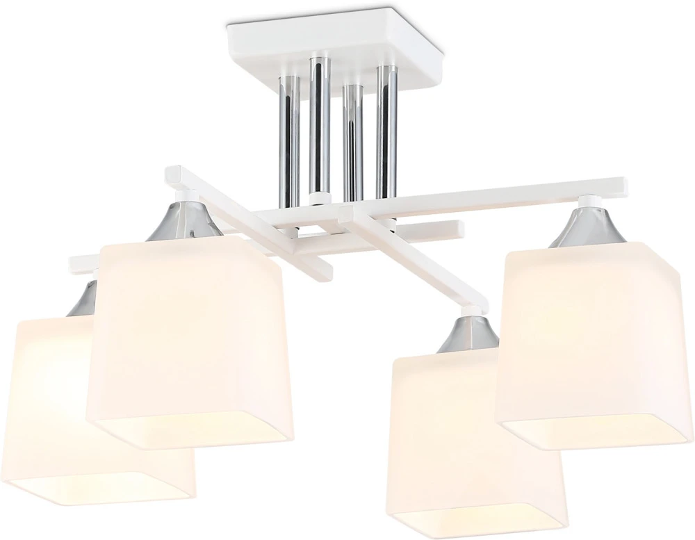 TR303041 Ambrella