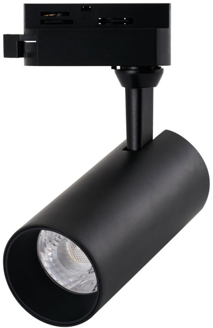 A4568PL-1BK Arte Lamp