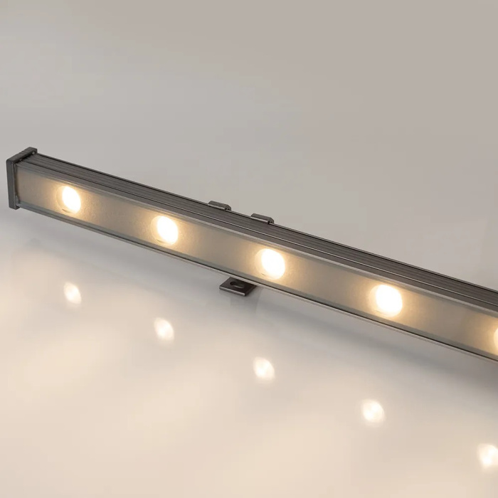 024336(1) Arlight