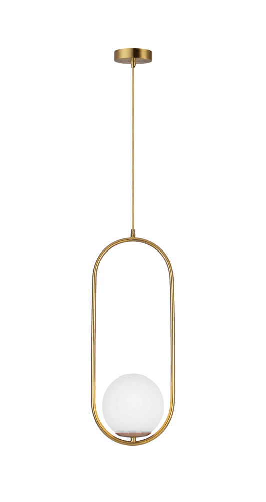 V11585-1P Moderli