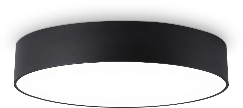 FV5534 Ambrella