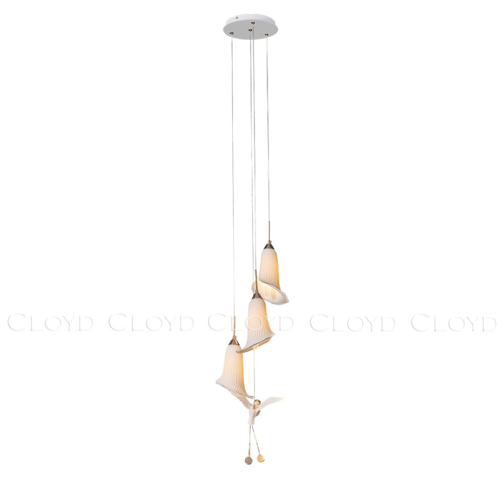 11888 Cloyd