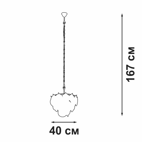 V5280-8/5 Vitaluce