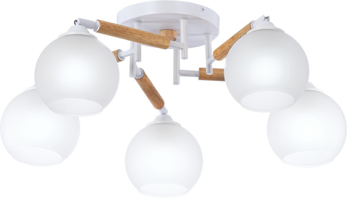 CL133150 Citilux