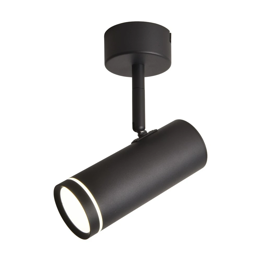 OML-102209-12 Omnilux