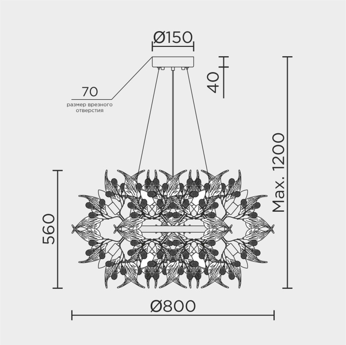 ML.6808.800P CR Modelux
