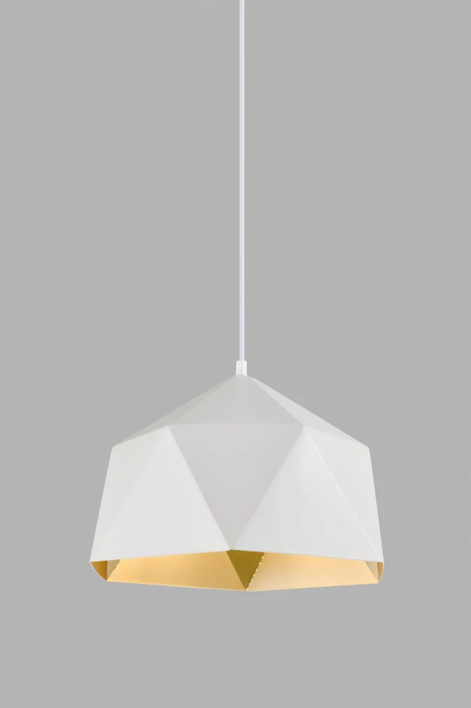 V10483-1P Moderli