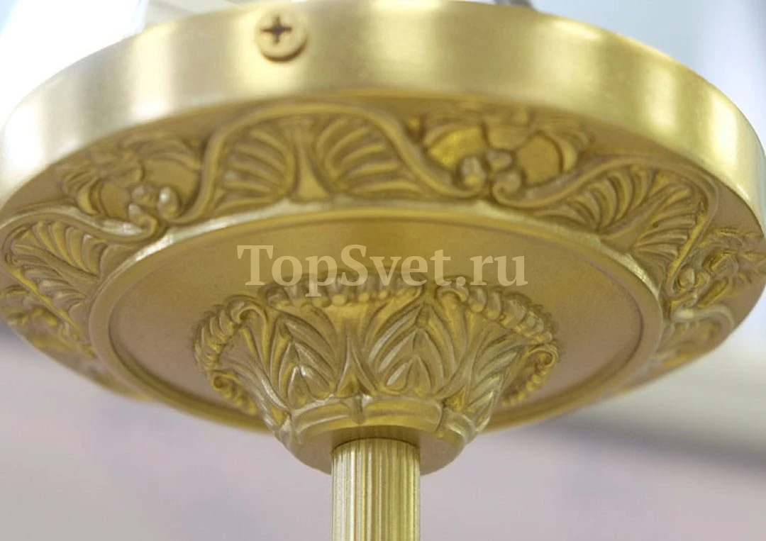 710/6PL CHAMPAGNE Nervilamp