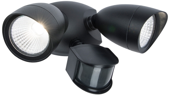 W6219A-PiR Bl Oasis Light