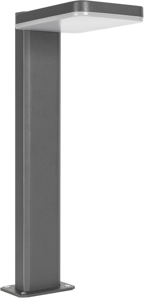 029969 Arlight