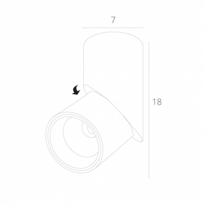 A7717PL-1BK Arte Lamp