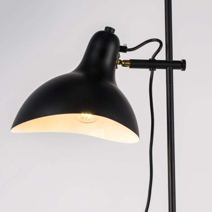 765747 Lightstar