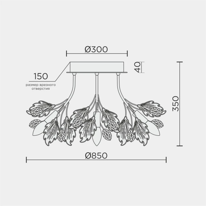 ML.6869.850 GD Modelux
