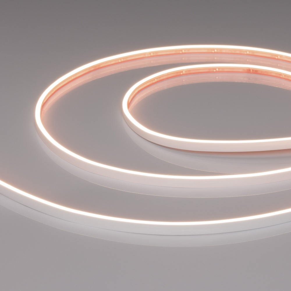 053267 Arlight